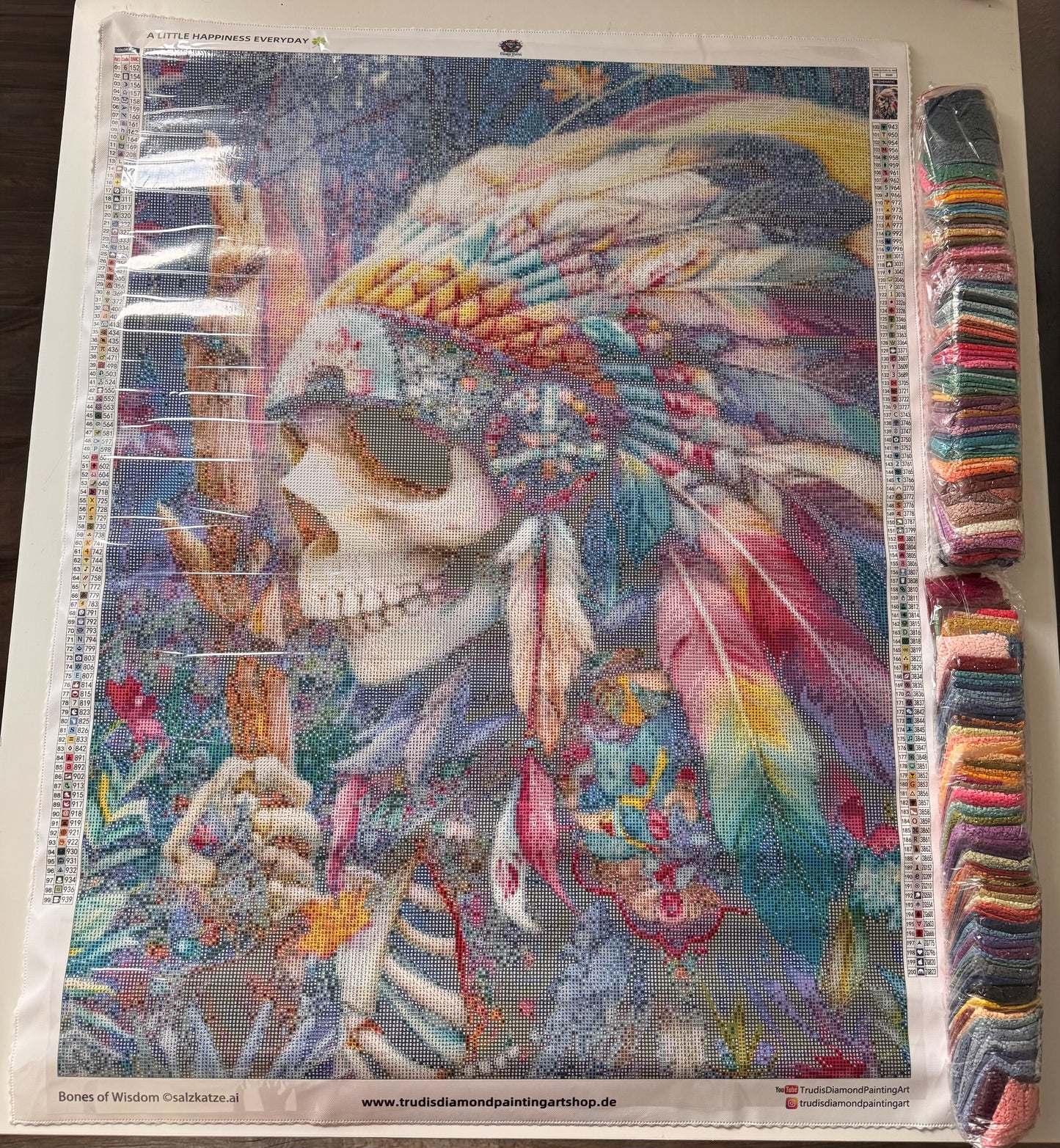 Diamond Painting Bones Of Wisdom von Salzkatze.ai 60x80cm mit 200 Farben (inkl. Sondersteine)